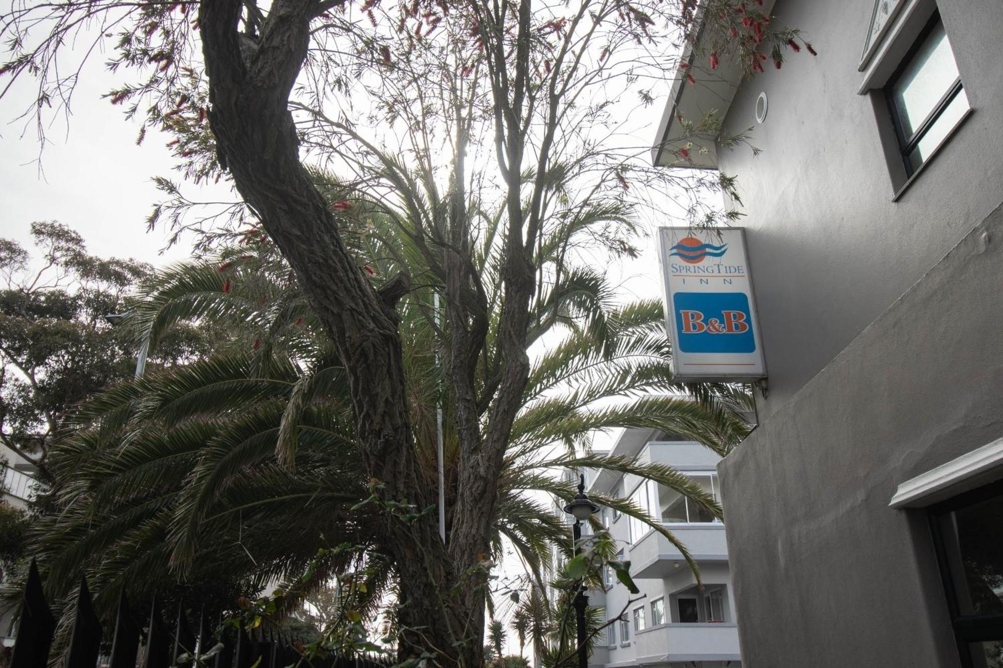 Spring Tide Inn By Ctha Cape Town Ngoại thất bức ảnh